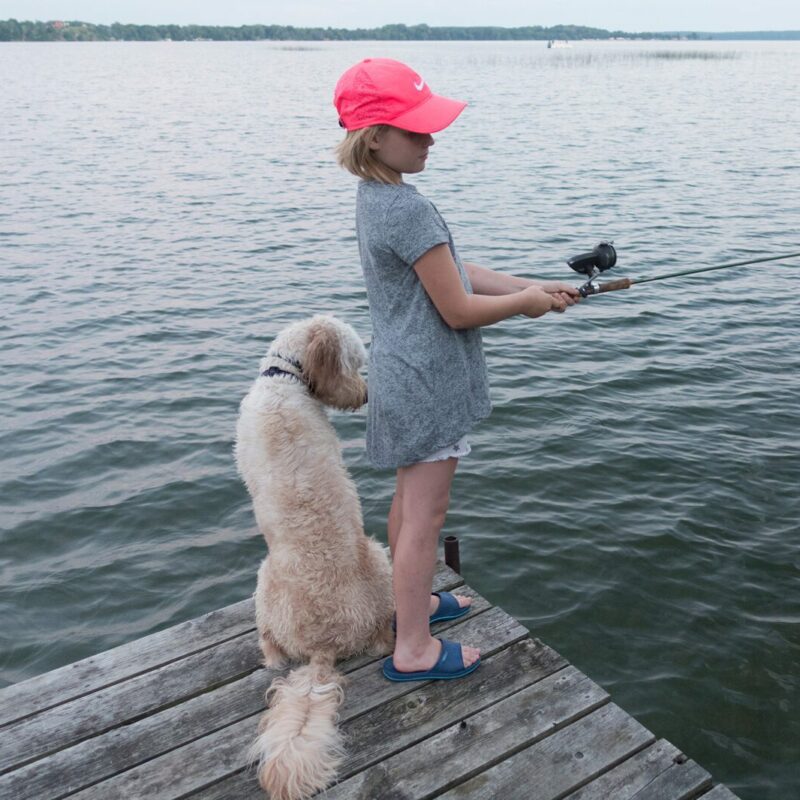 goldendoodle standing by fishing little girl on dock in florida