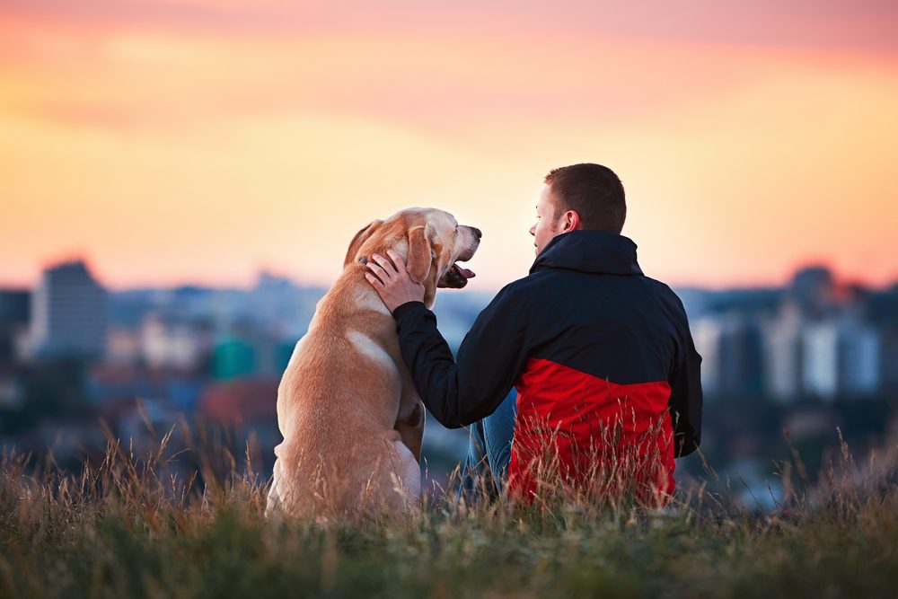 man with dog watching sunset