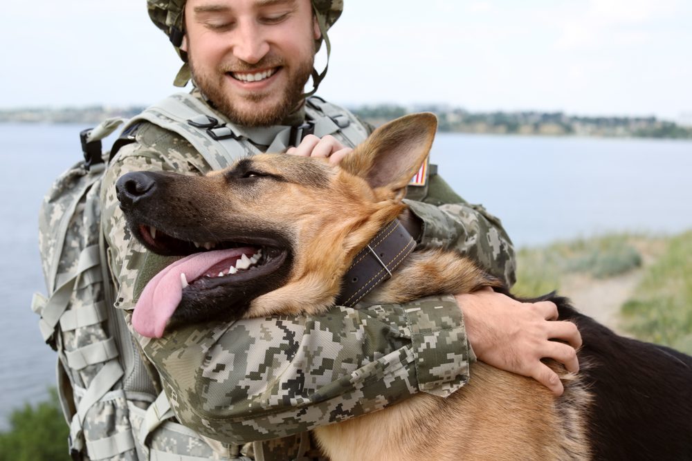 How Much Does a Psychiatric Service Dog Cost? - Dog Academy