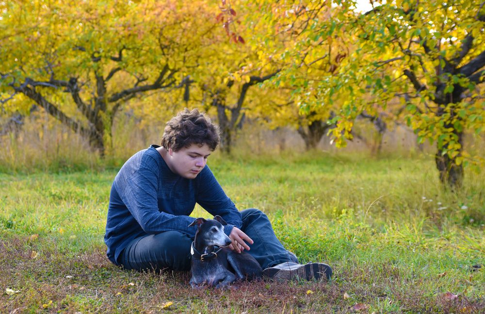 teenager sits on the grass in an Apple orchard with his dog, Can a Psychiatric Service Dog Help With Autism