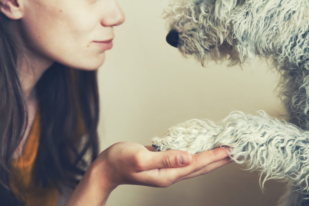 woman holding dog paw