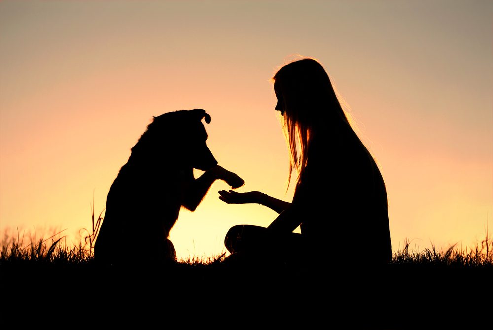 silhouette of dog and woman