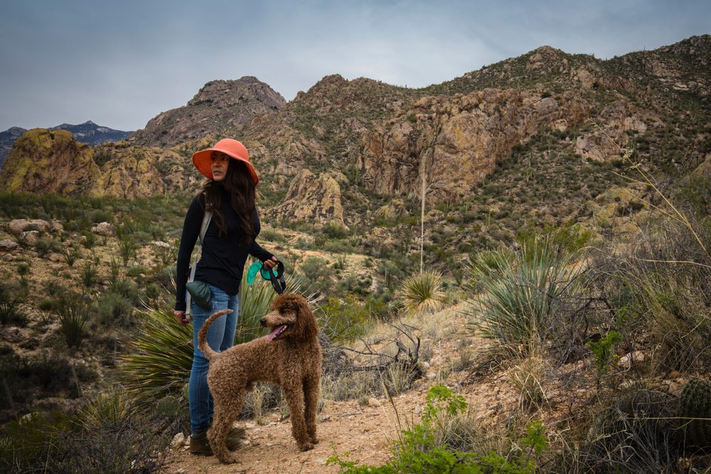 Woman and poodle hike through Catalina State Park