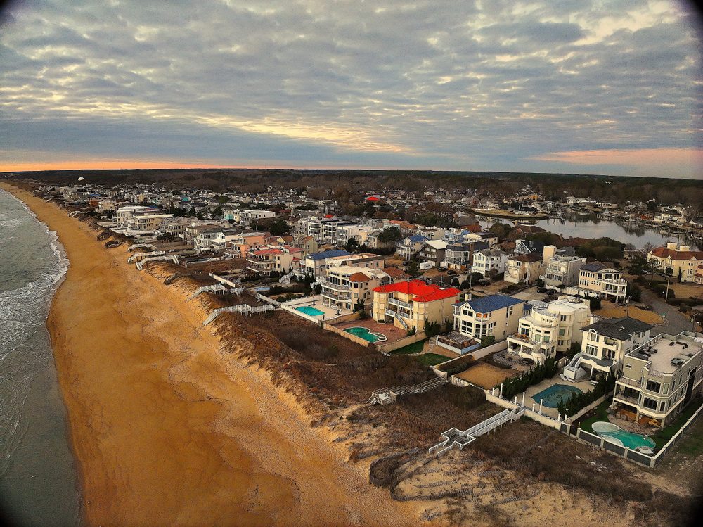 Dog Training in Virginia Beach, VA