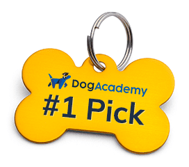 dog tag saying dog academy #1 pick