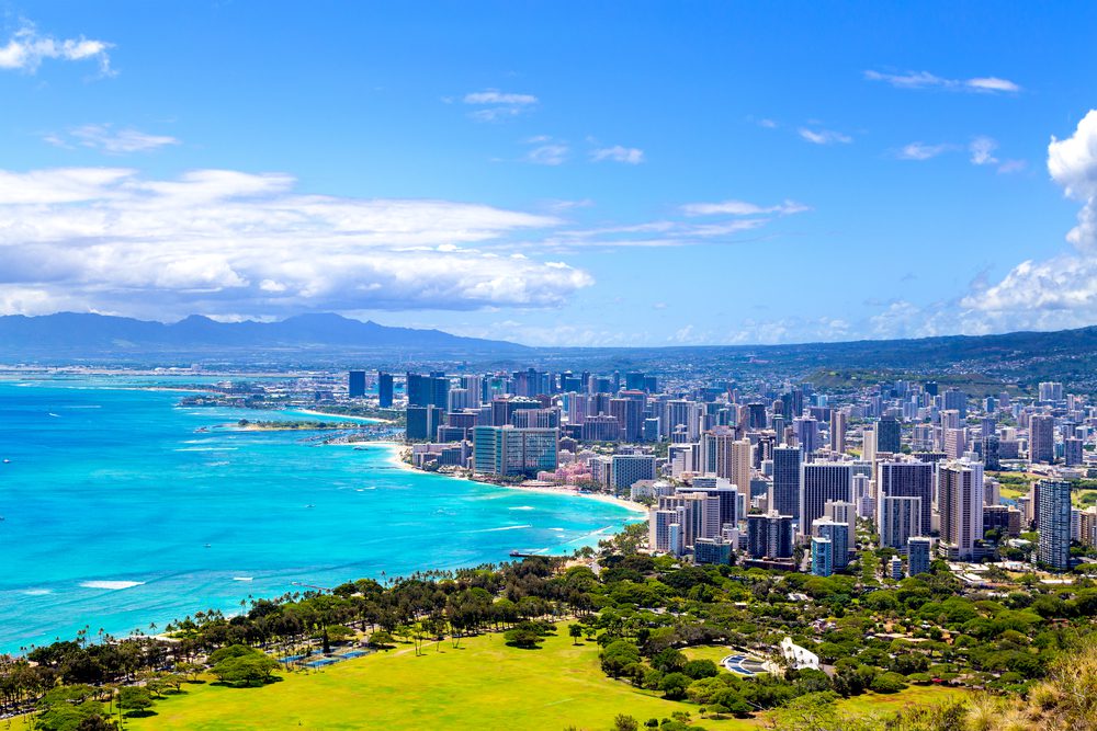 Dog Training in Honolulu, HI