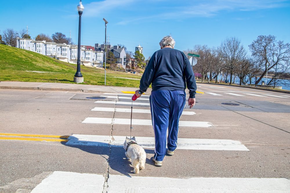 man and dog walking across crosswalk