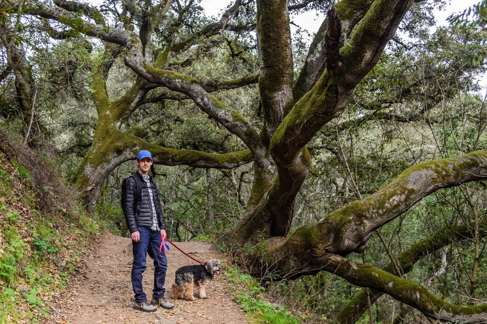 man with dog in Oakland forest