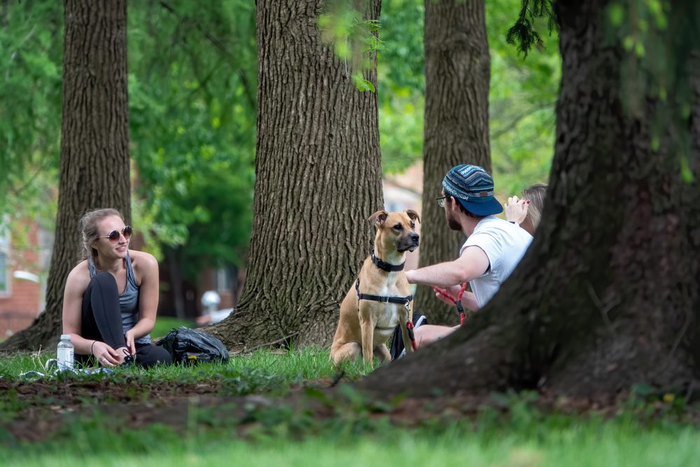 people with dog in Columbus park