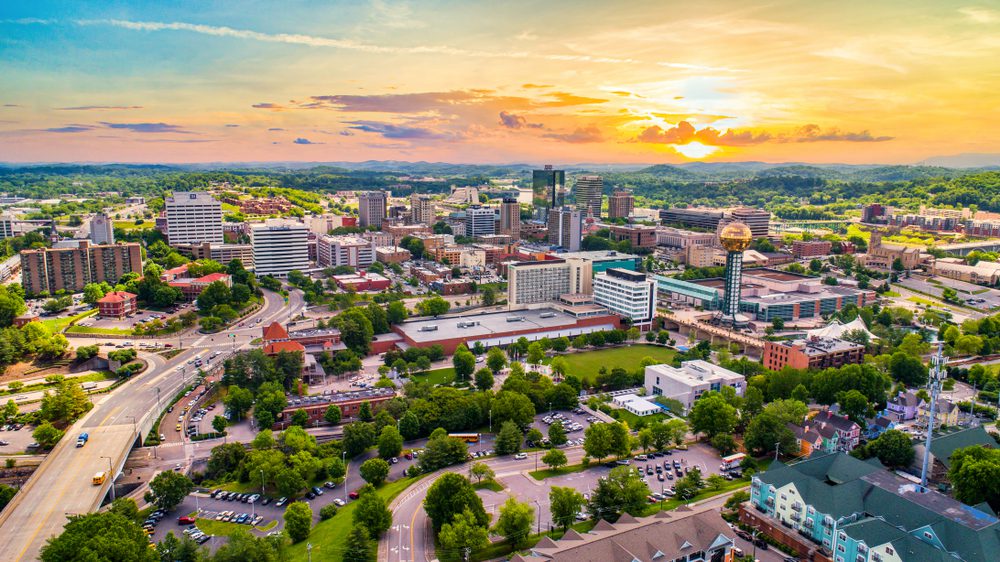Dog Training in Knoxville, TN