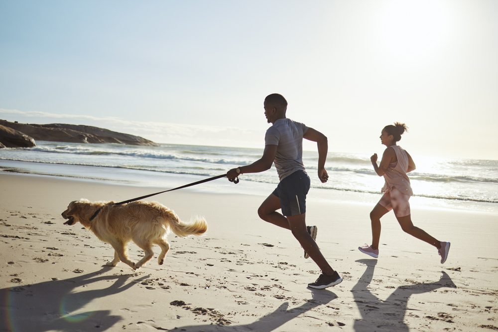 Dog Training in Ontario