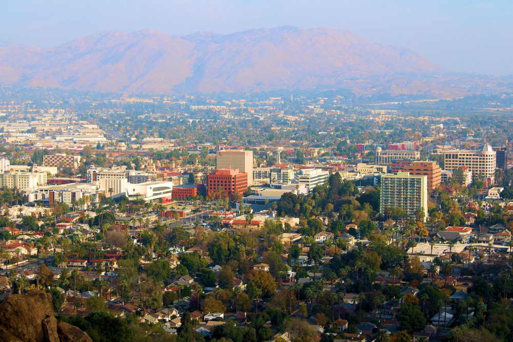 Dog Training in Riverside, CA