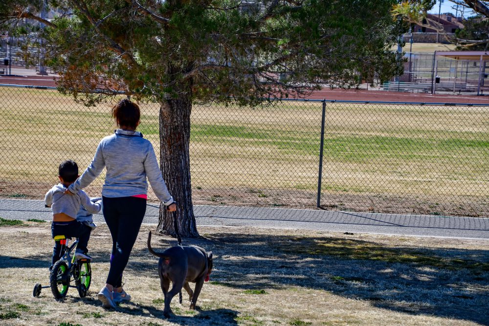 woman child and dog in park