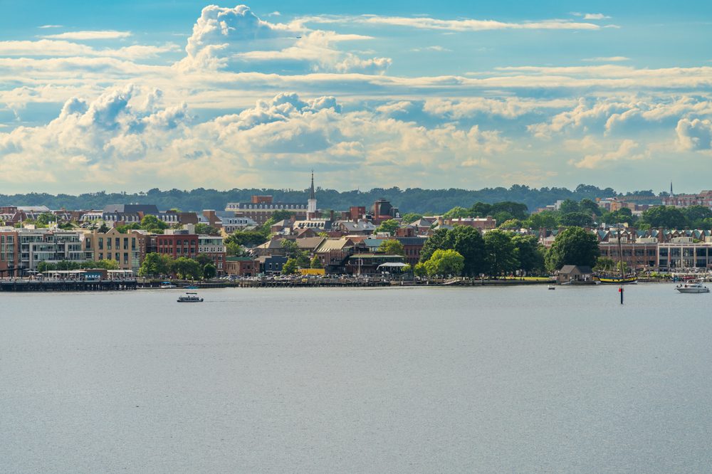 Dog Training in Alexandria, VA