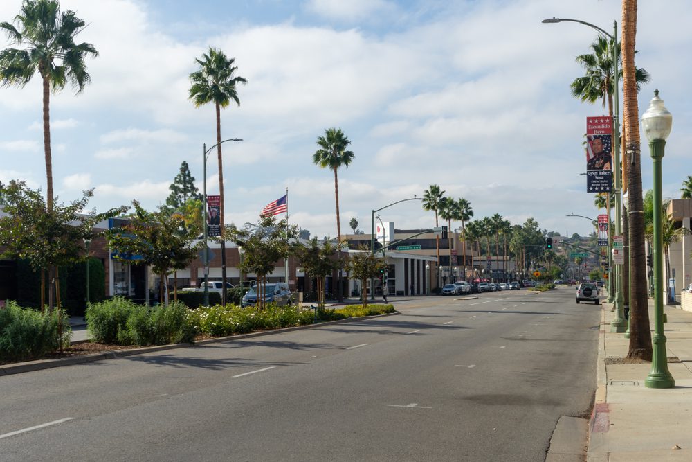 Dog Training in Escondido, CA