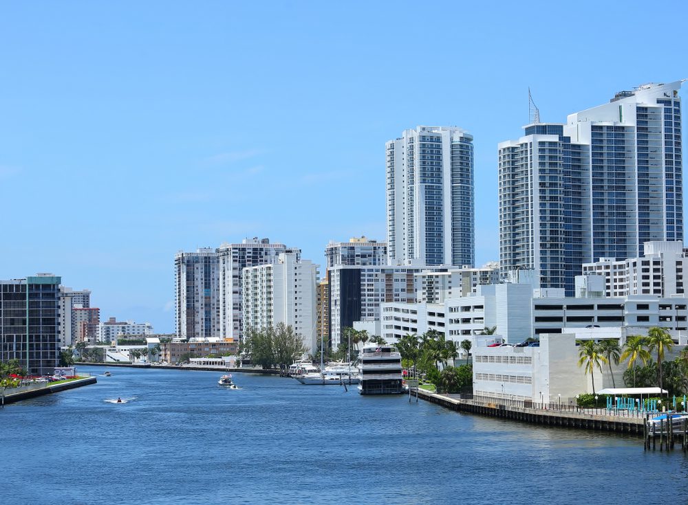 Dog Training in Hollywood, FL