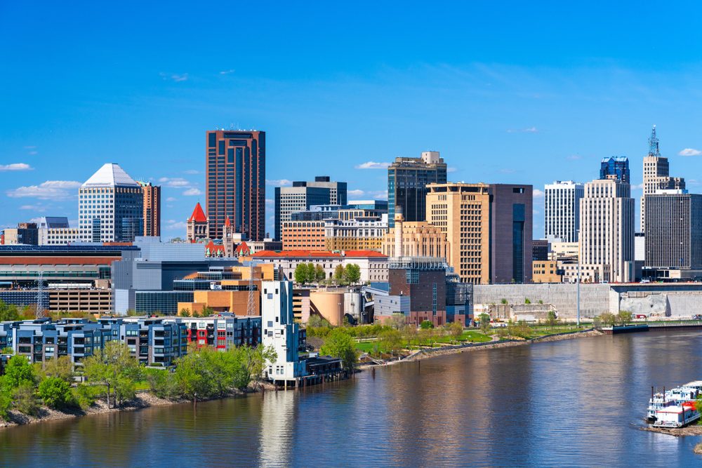 Dog Training in Saint Paul, MN