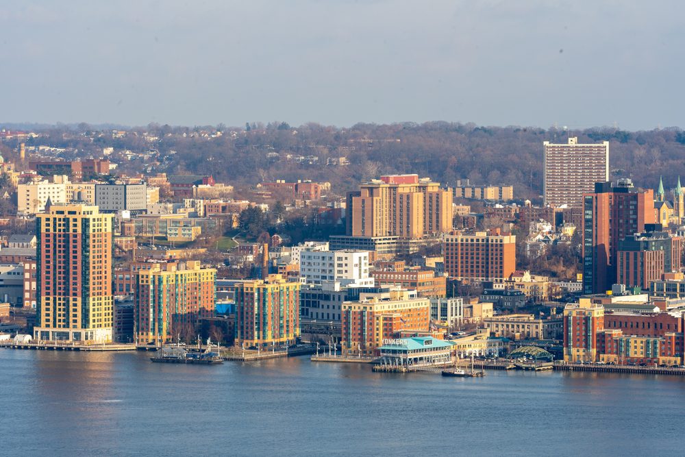 Dog Training in Yonkers, NY