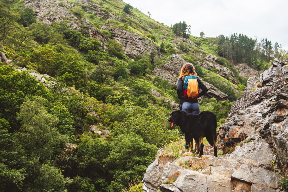 a dog and human hiking in woods