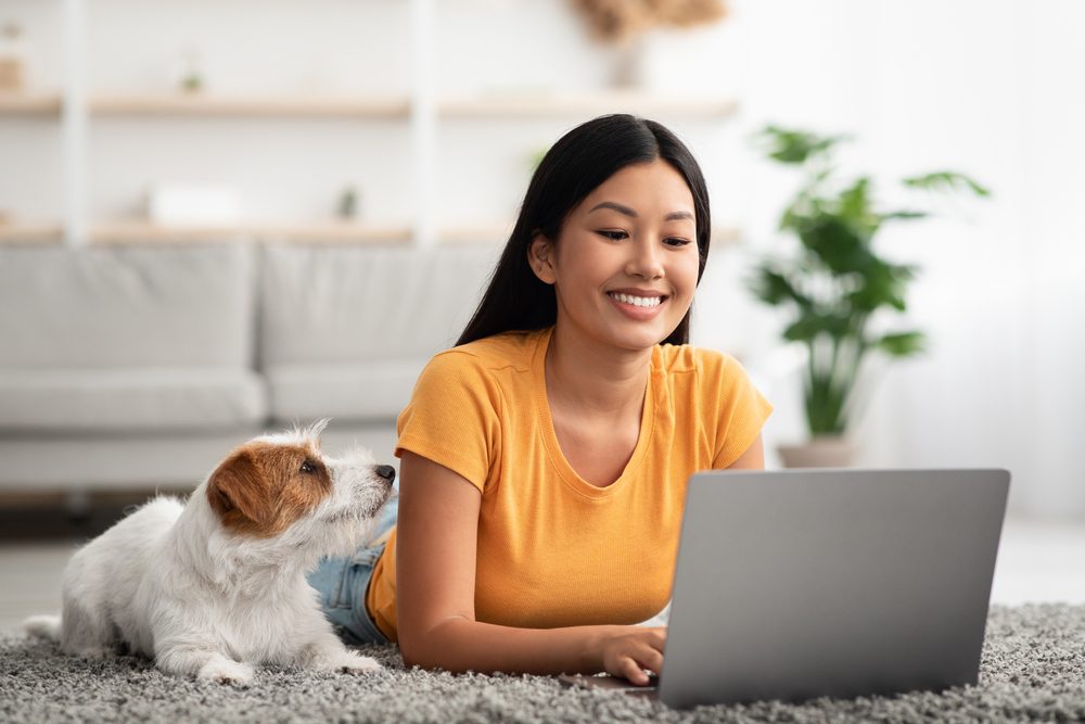 dog gazing at owner using laptop