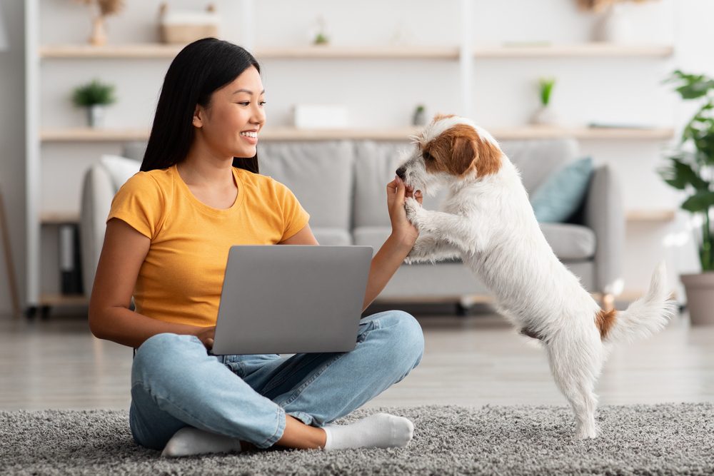 woman petting a dog using laptop