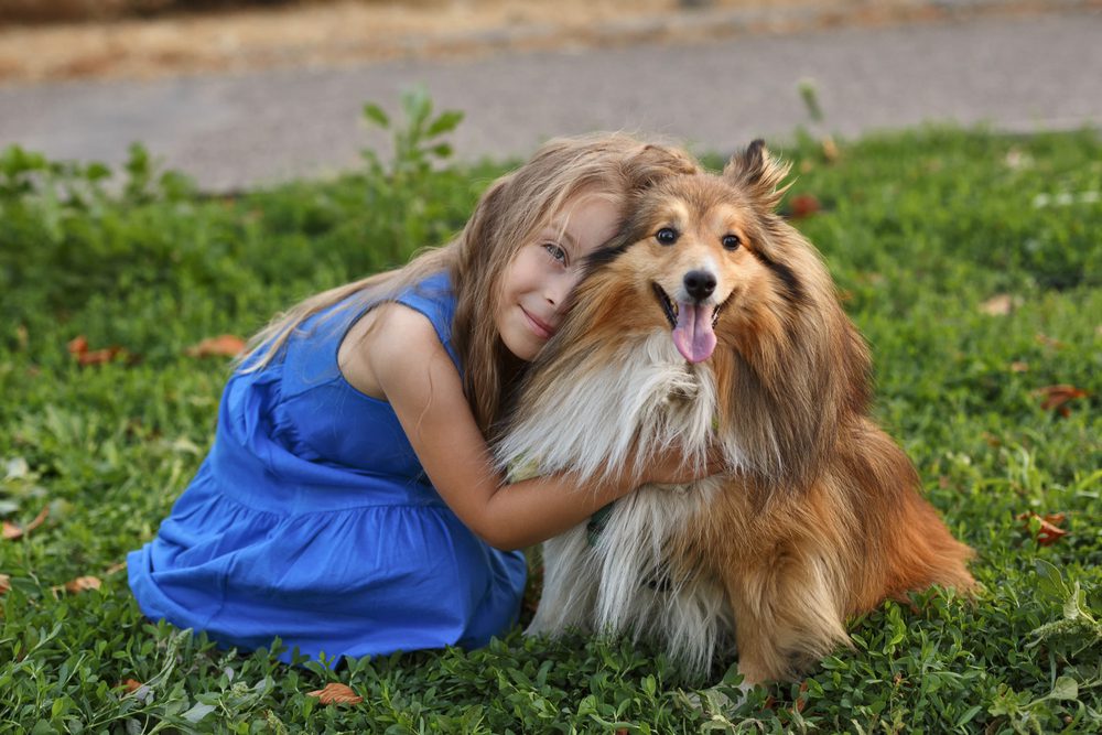 child hugging sheltie