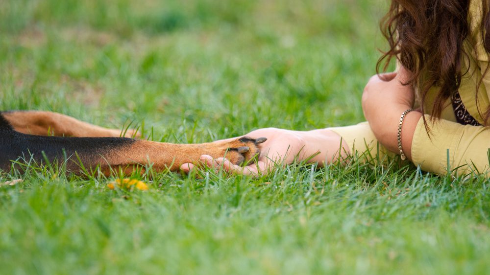 woman holding rottweiler's paw