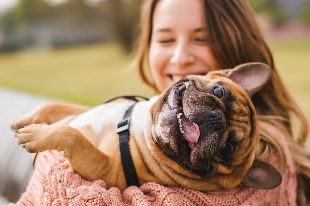 happy dog in owner’s arms outside