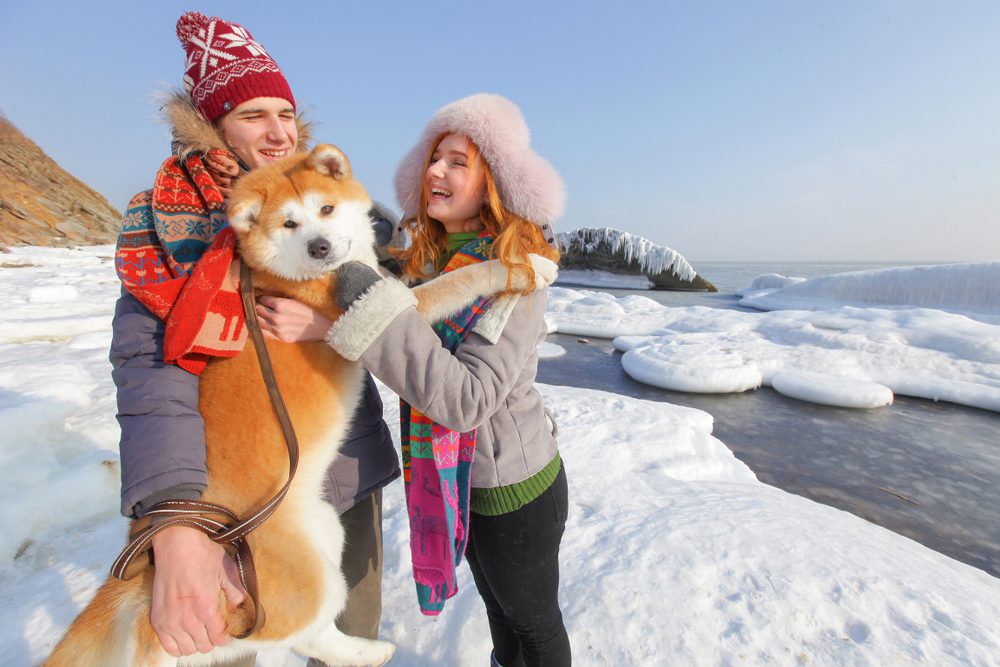 man and woman holding akita inu