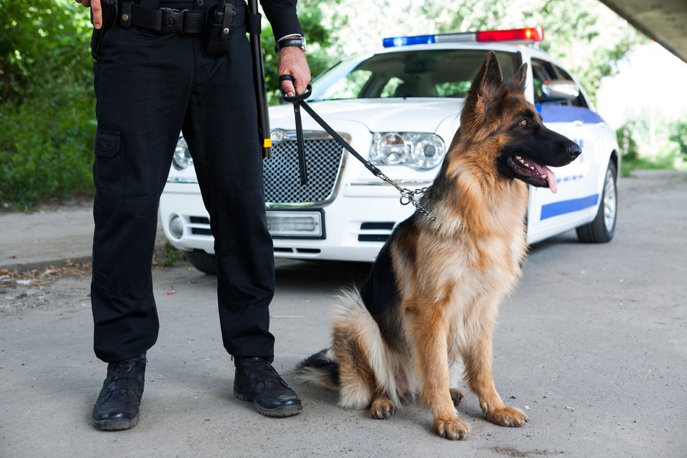 cop with german shepherd on leash