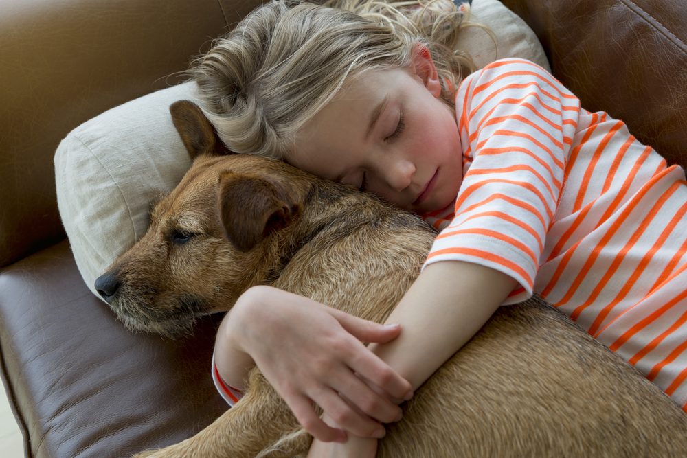 young girl cuddling a patterdale terrier