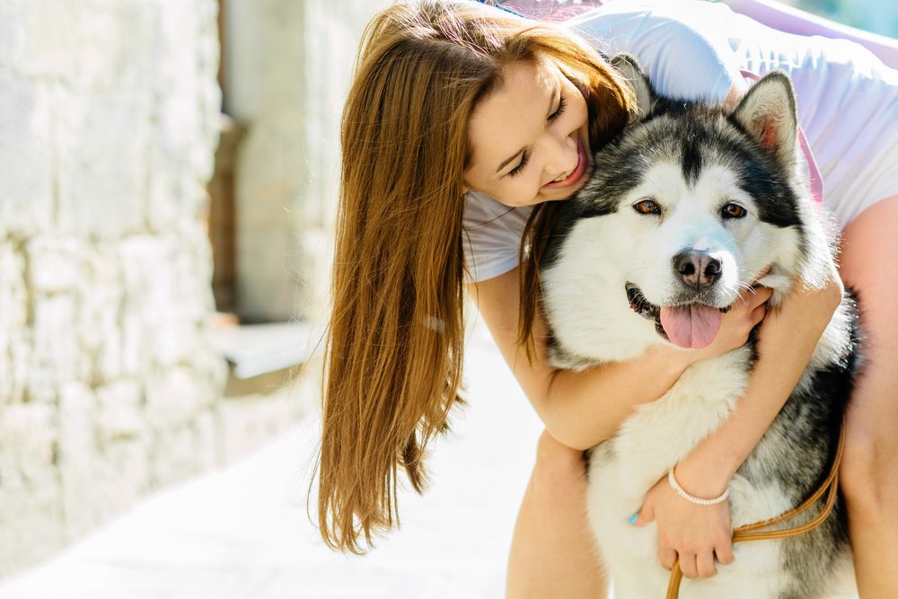 young woman hugging an alaskan malamute