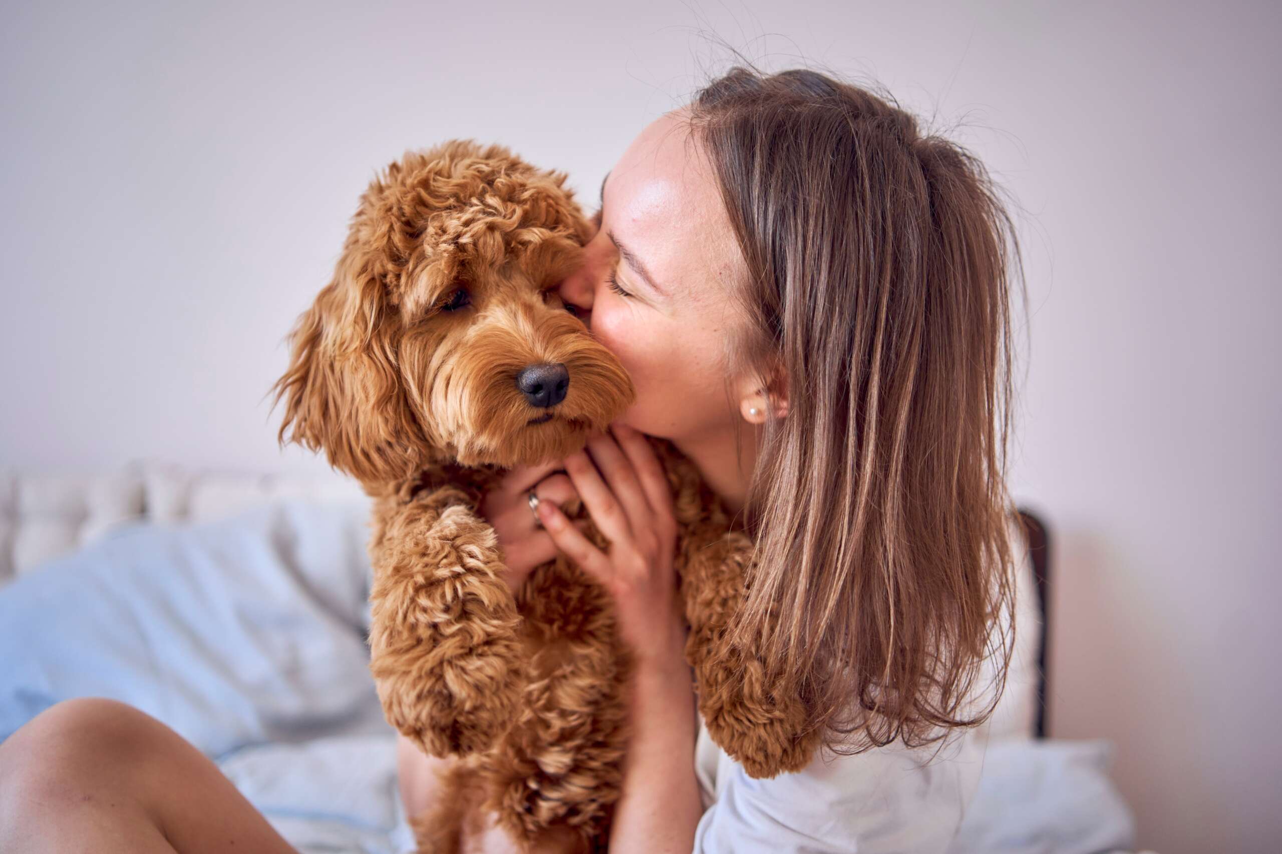 A,Young,Woman,Playing,And,Kissing,Cockapoo,Girl,On,Bed,