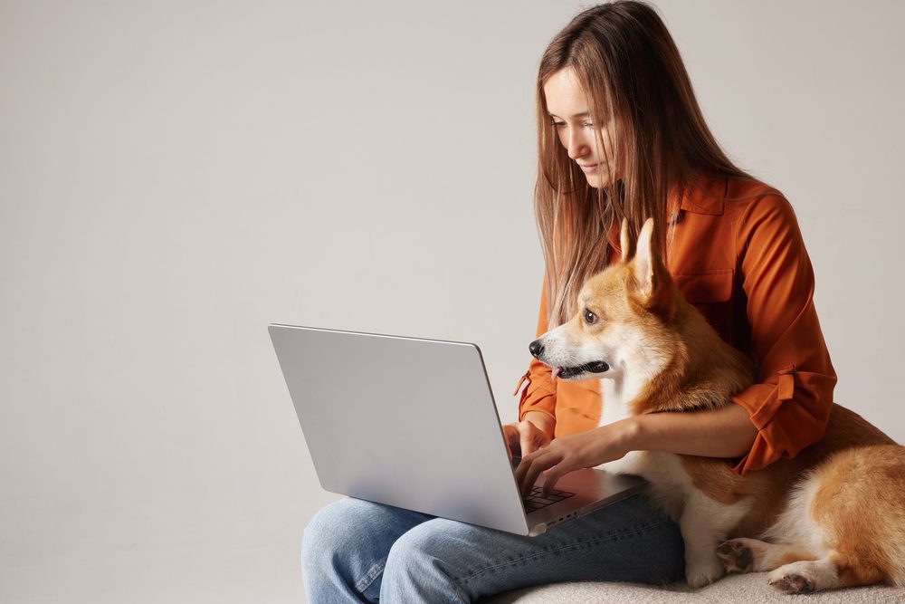 person and dog looking at laptop