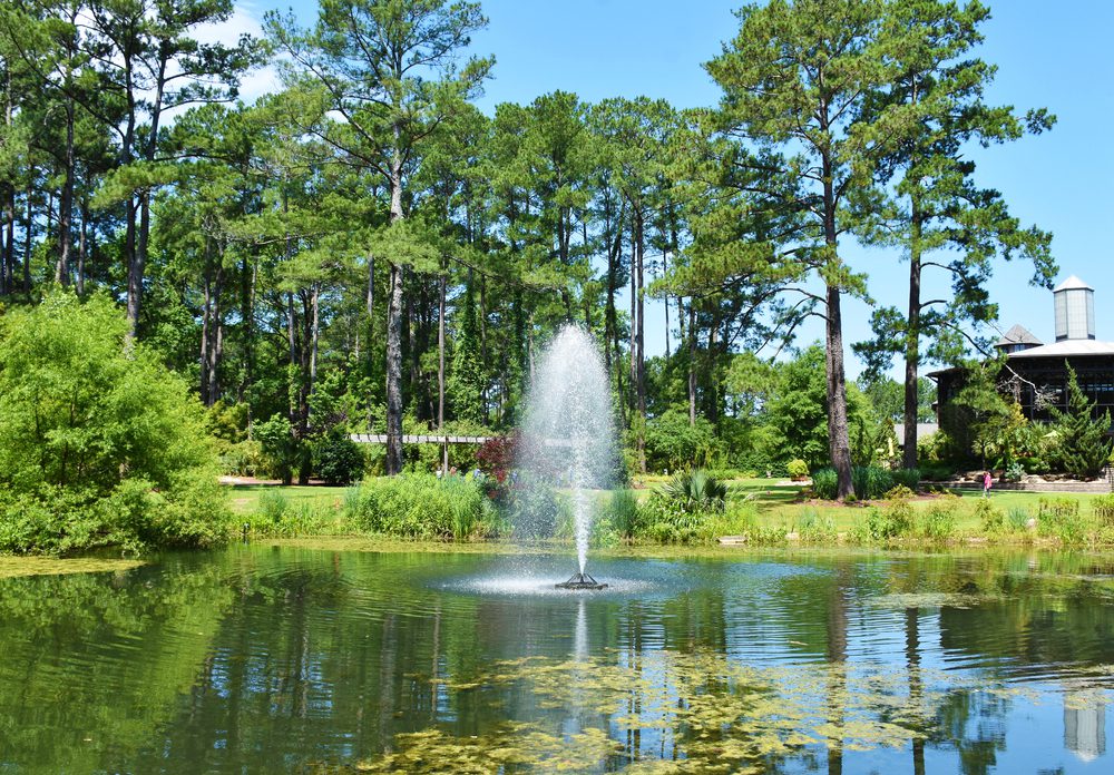 fountain at Cape Fear Botanical Garden