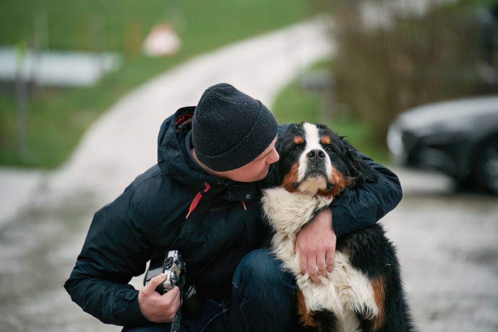 photographer hugging bernese mountain dog
