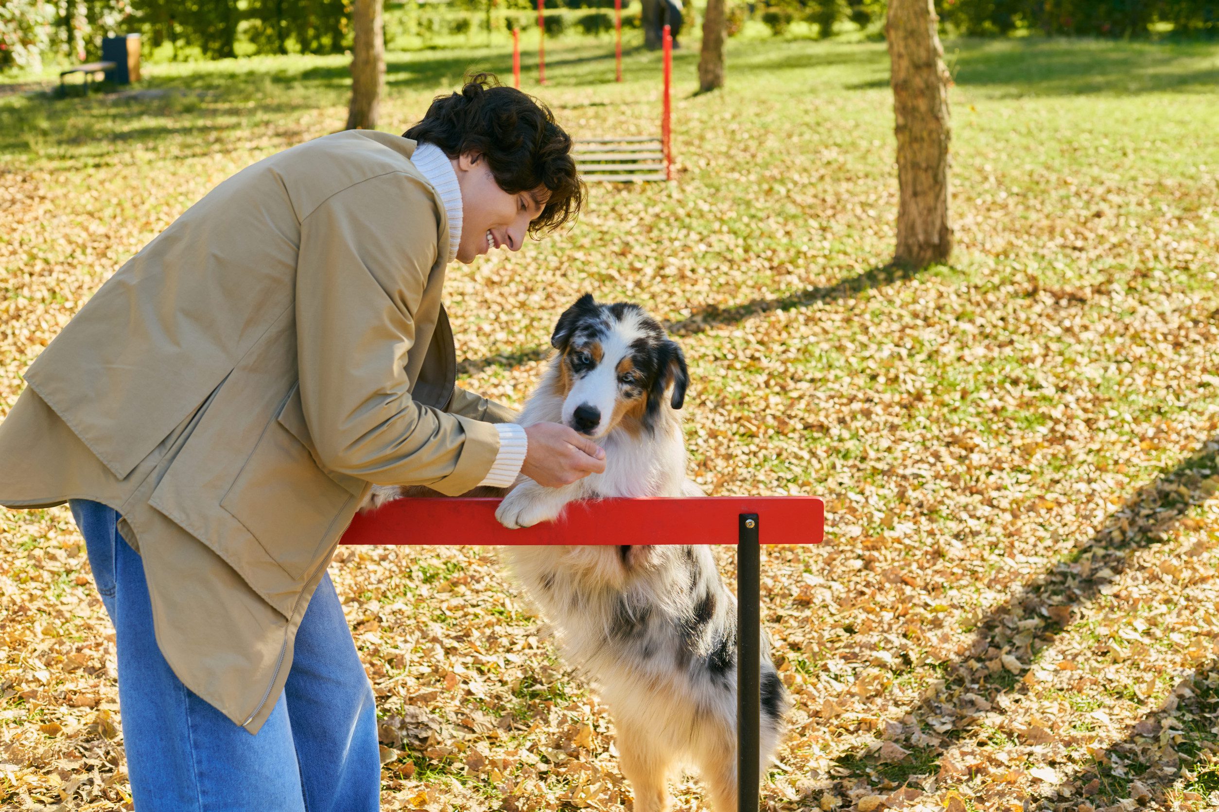 Someone doing Dog Training Kenosha WI