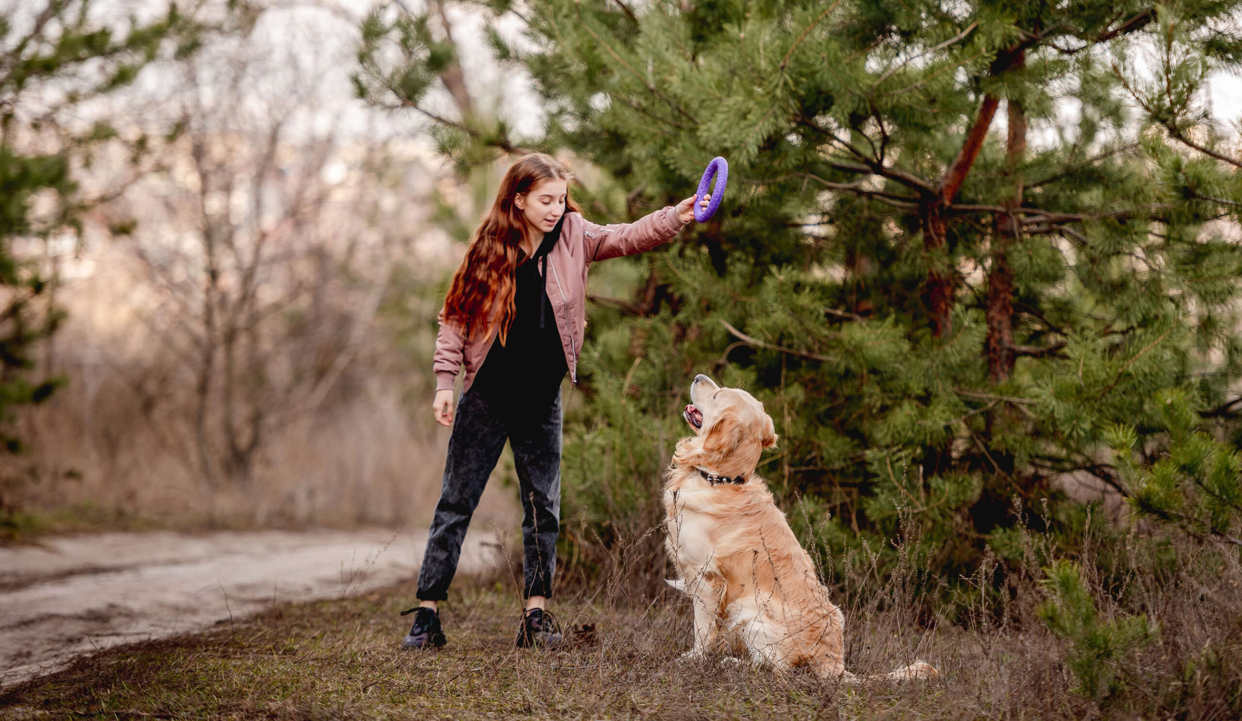 Someone doing Dog Training Parkersburg WV