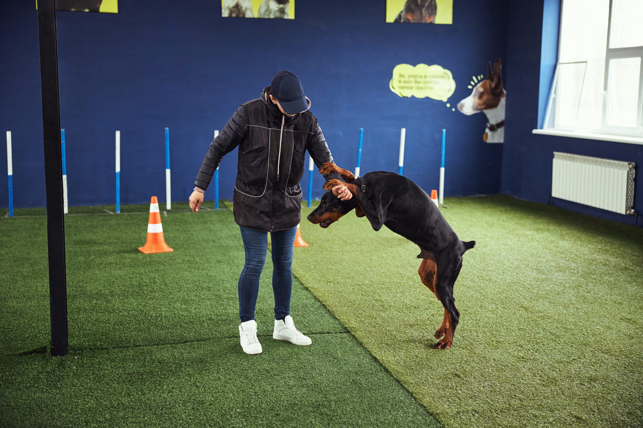 Someone doing Dog Training Cheyenne WY