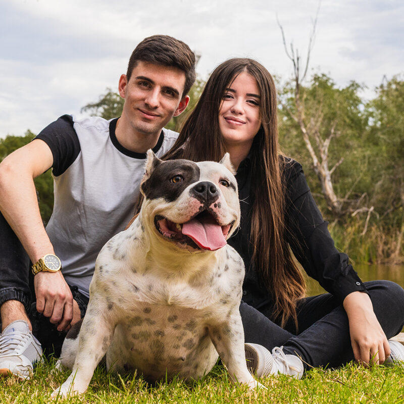 Two,People,Sitting,Next,To,An,American,Bully,Dog,In Two people sitting next to an american bully dog in a park next to a river