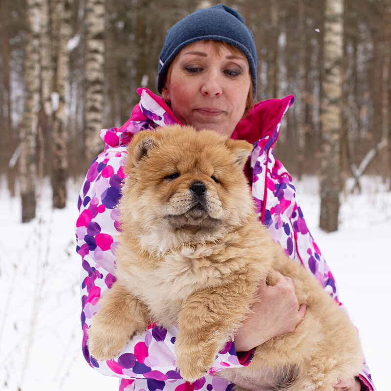 owner holding chow chow puppy in snowy weather